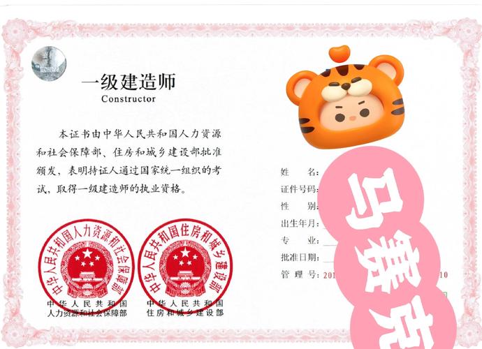 一级建造师的执业范围